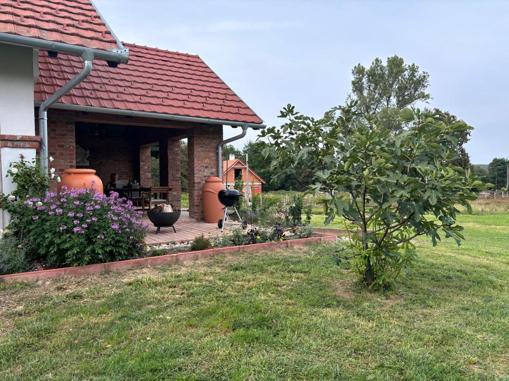 Kosbor Panzio Bed & Breakfast Magyarszombatfa Exterior foto